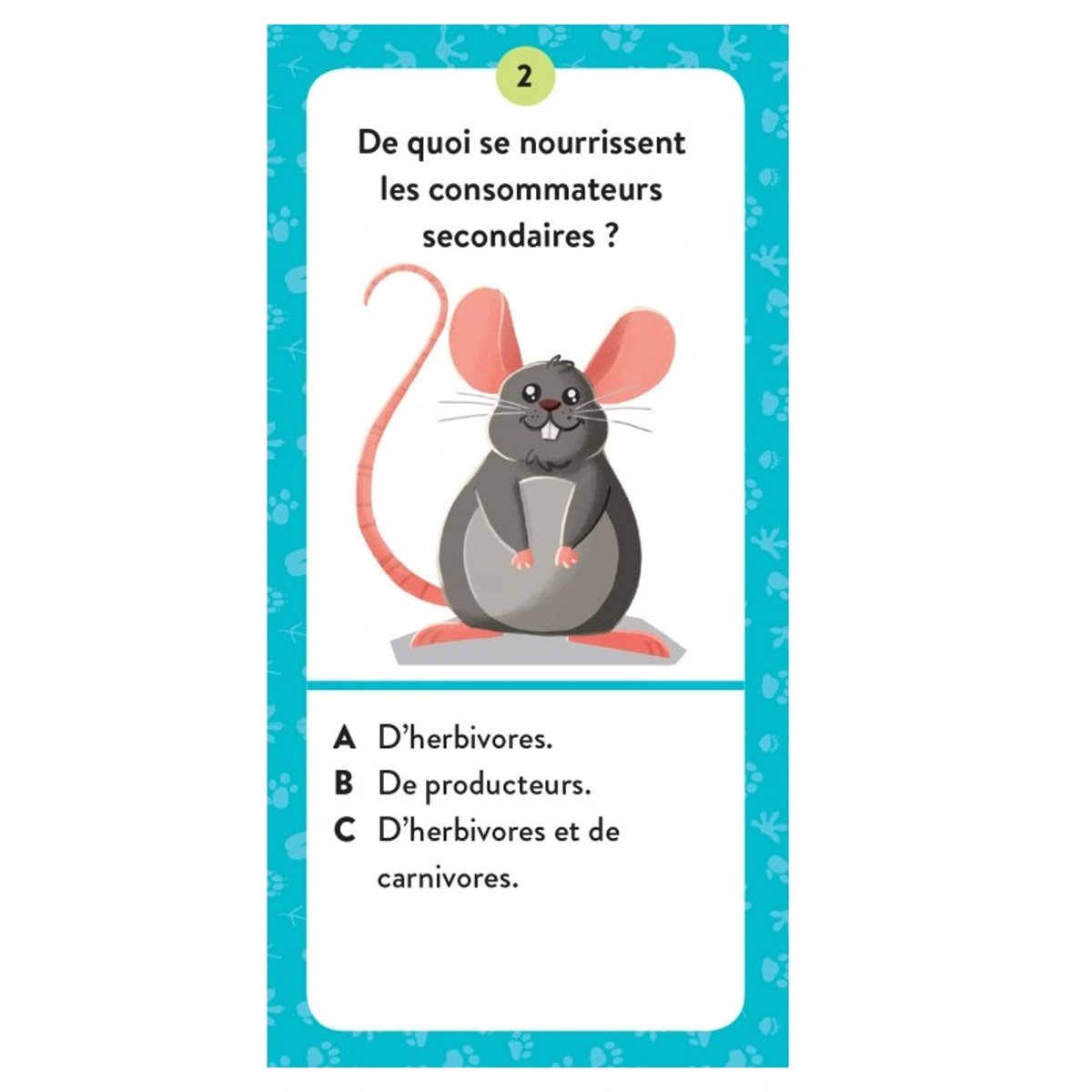Méga Atlas des Animaux bleu, SASSI JUNIOR