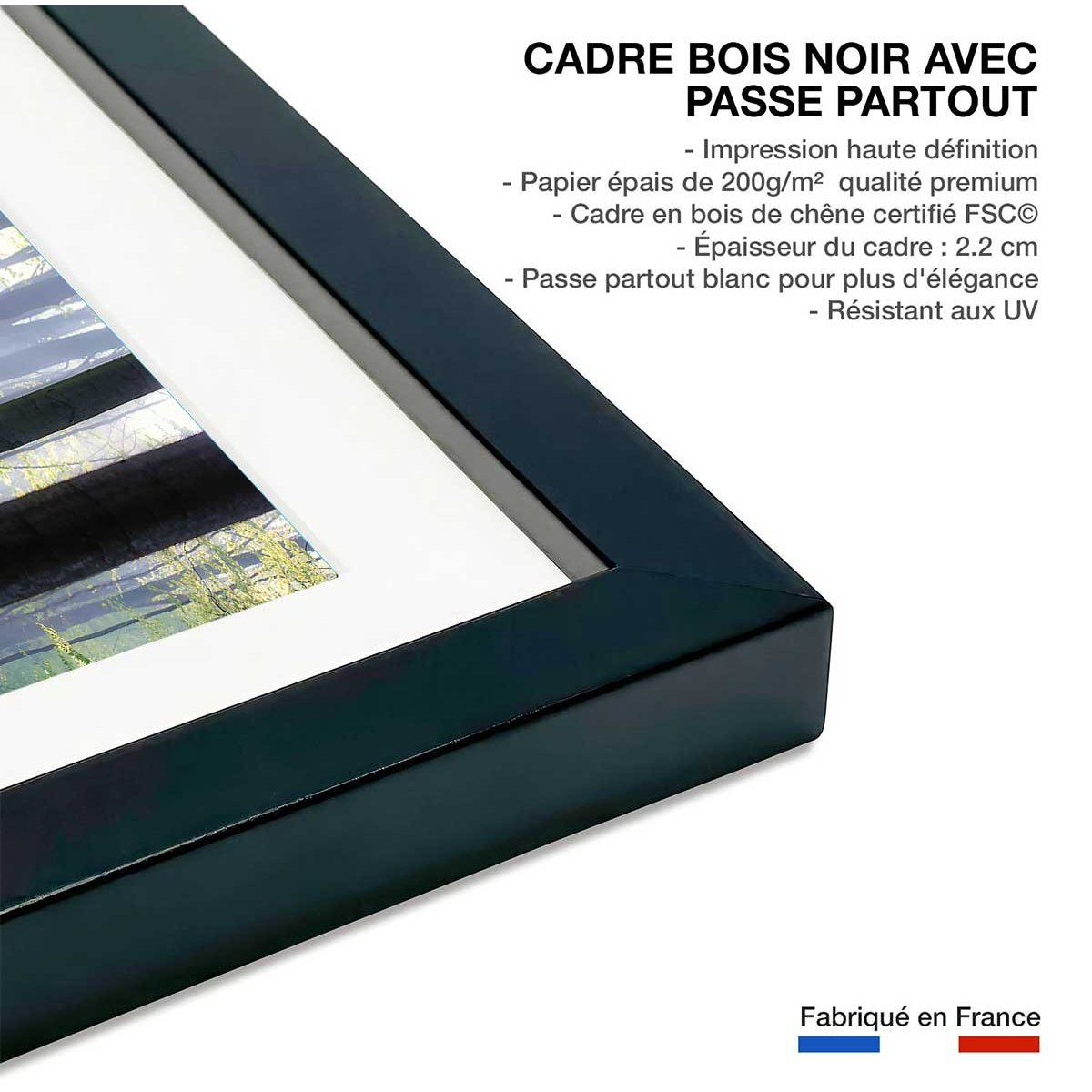 Affiche nature jacinthes et sous-bois affiche + cadre en bois - noir, HEXOA