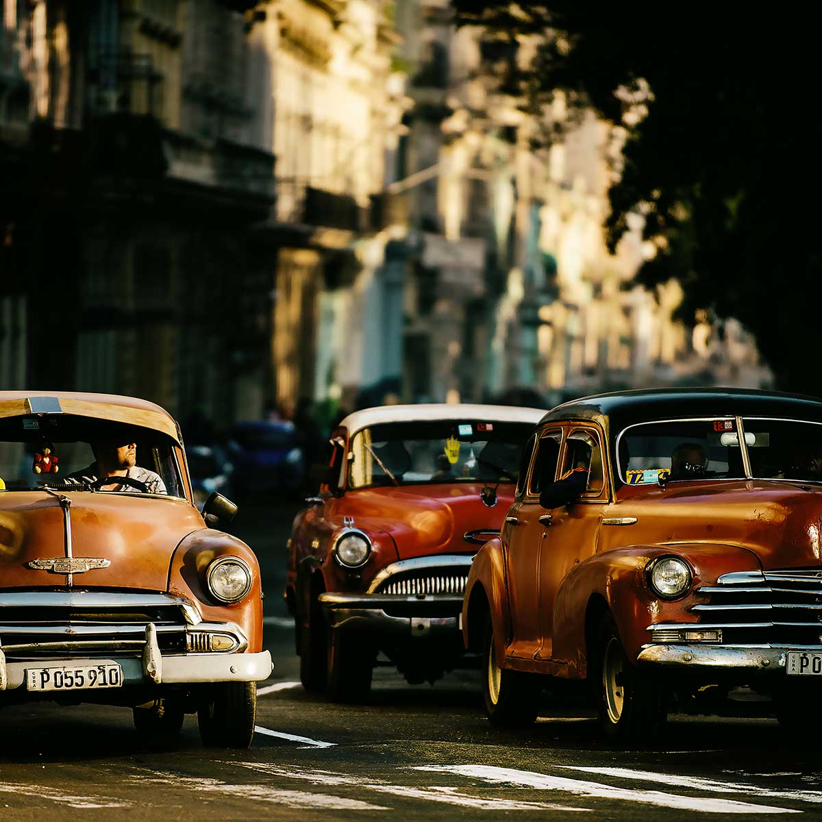 Affiche vintage taxi affiche + cadre en bois - noir, HEXOA