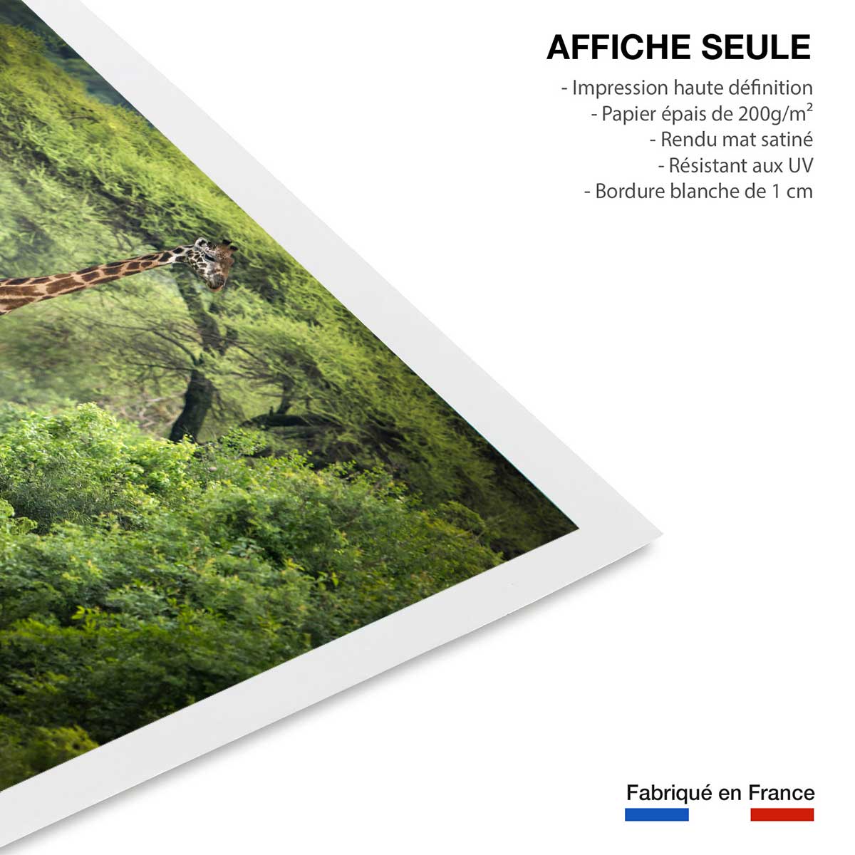 Affiche Girafe inattendue affiche seule, HEXOA