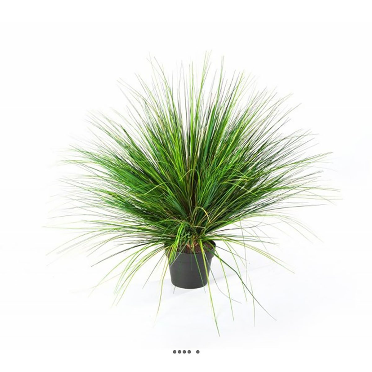 Graminée en pot factice D 65 cm vert-rouge couleur unique, ARTIFICIELLES