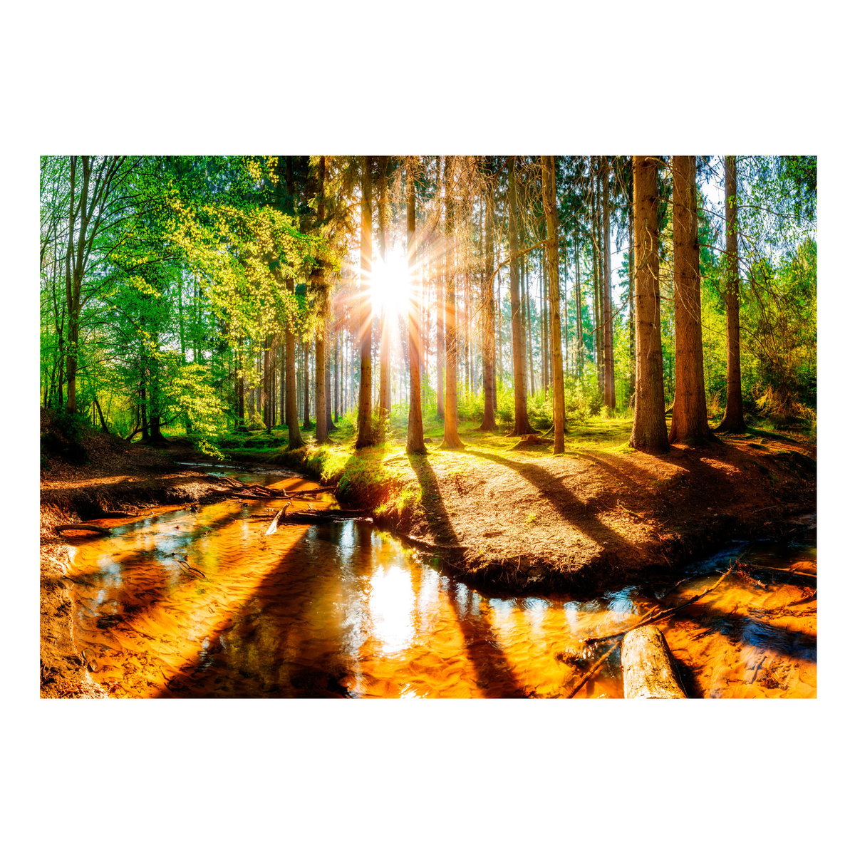 Papier peint intissé panoramique Paysage Marvelous Forest vert, EDEN