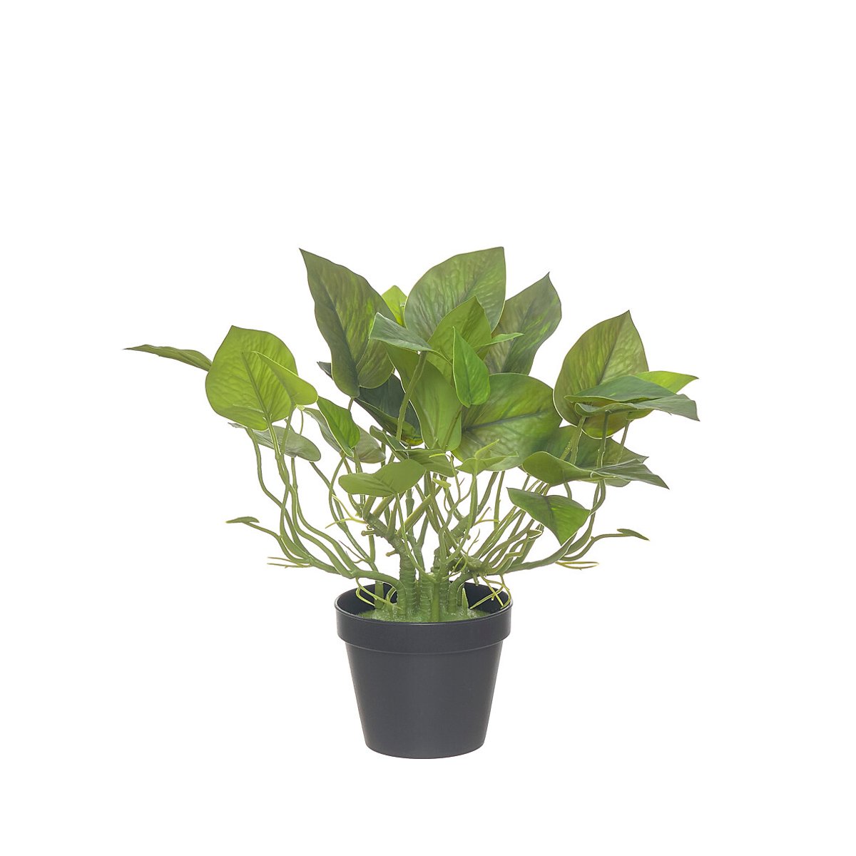 Planta artificial "Scindapsus" 30cm, BORGHESI verde, BORGHESI