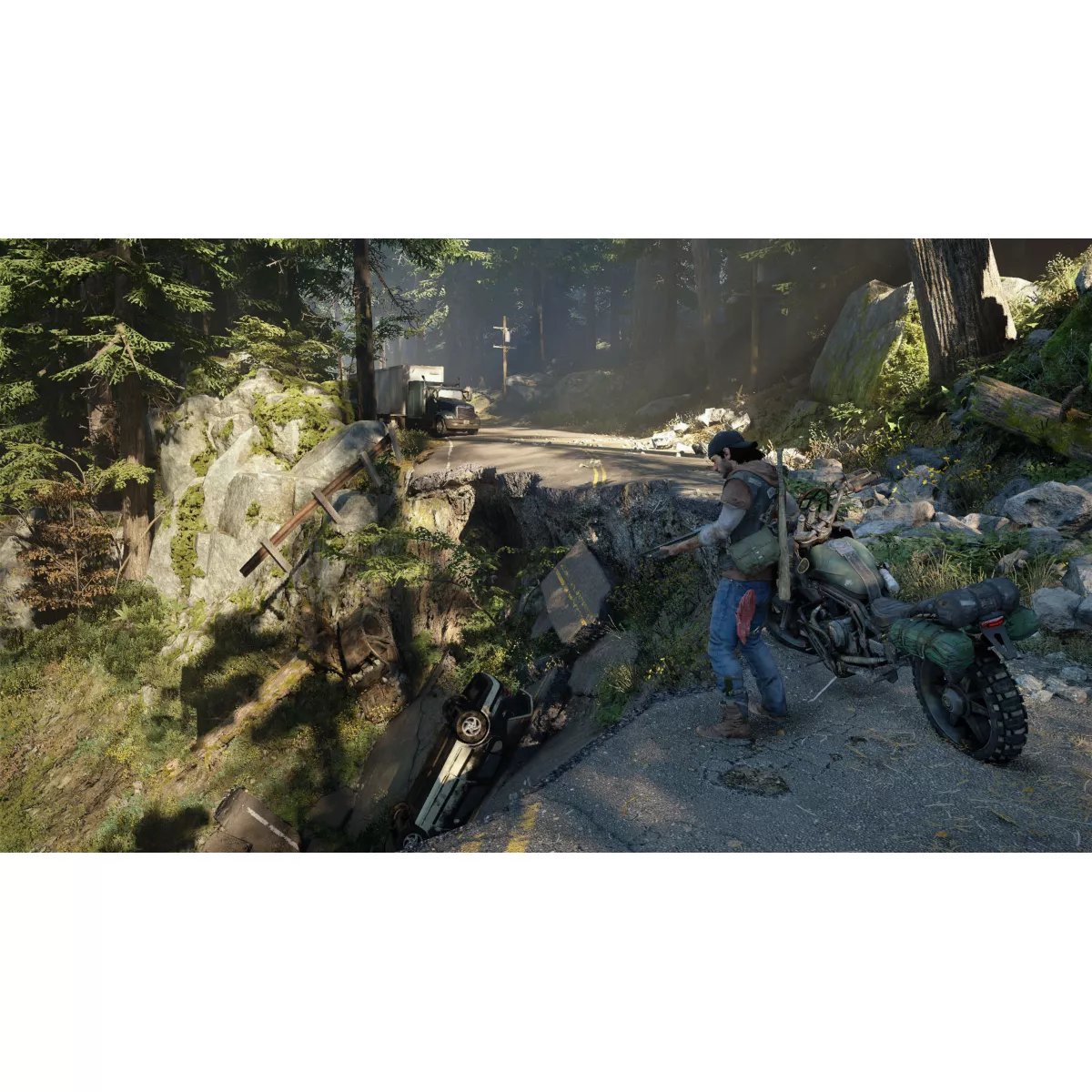Jeu Ps4 Days Gone couleur unique, SONY