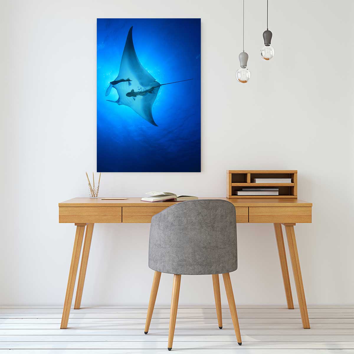 Tableau animaux marins raie manta tableau alu dibond, HEXOA