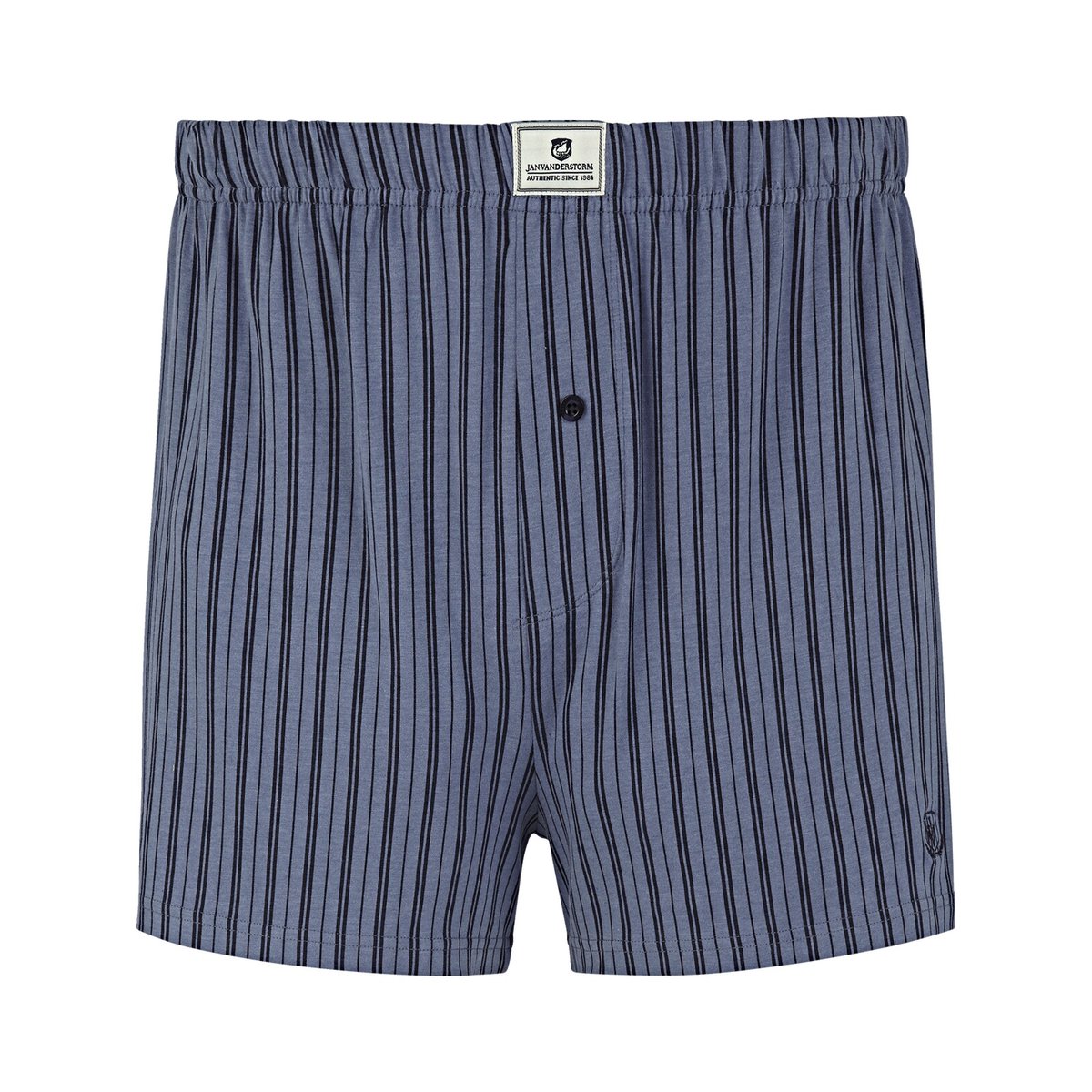 Lot de 2 caleçons THURE bleu gris, JAN VANDERSTORM