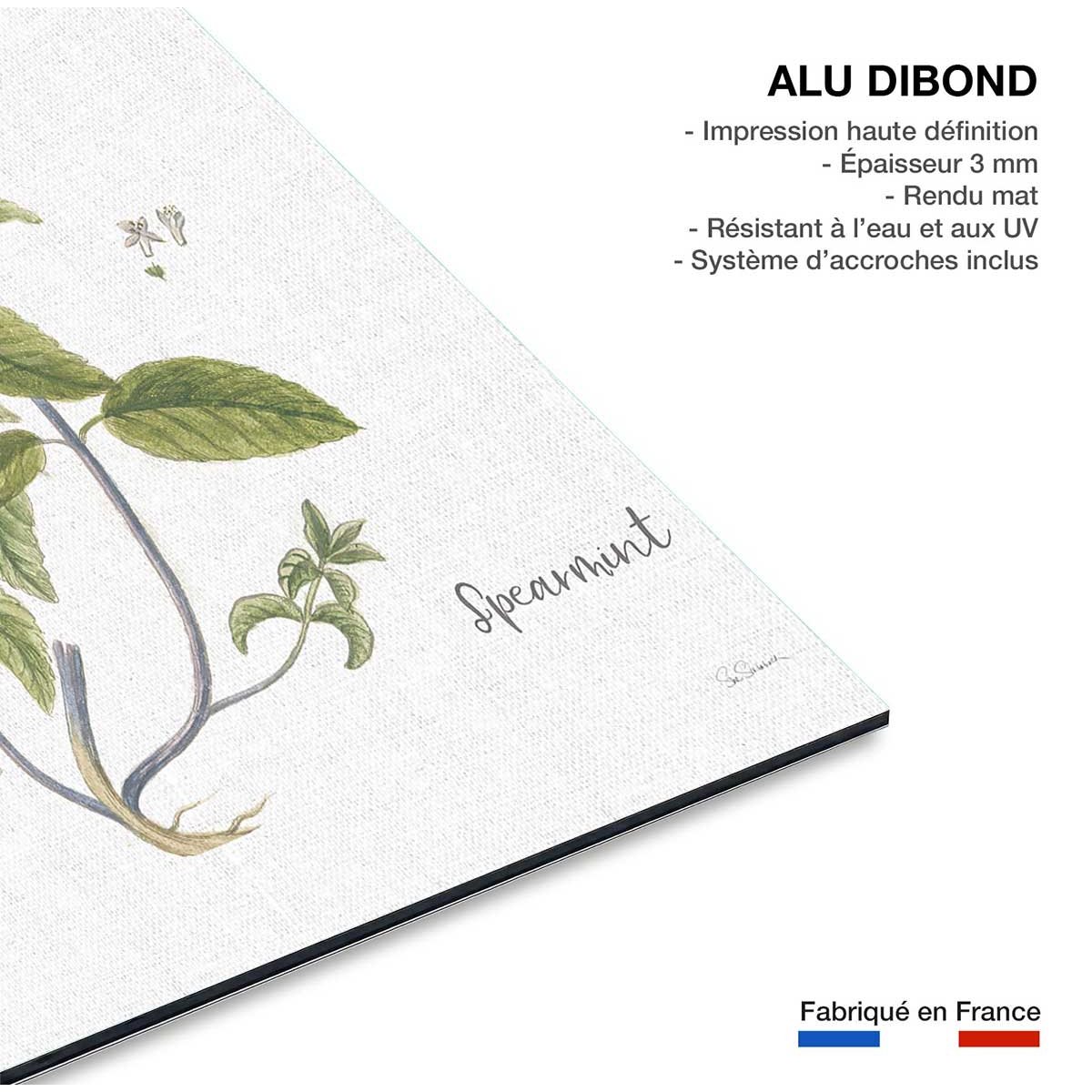Tableau fleurs Menthe verte illustrée tableau alu dibond, HEXOA