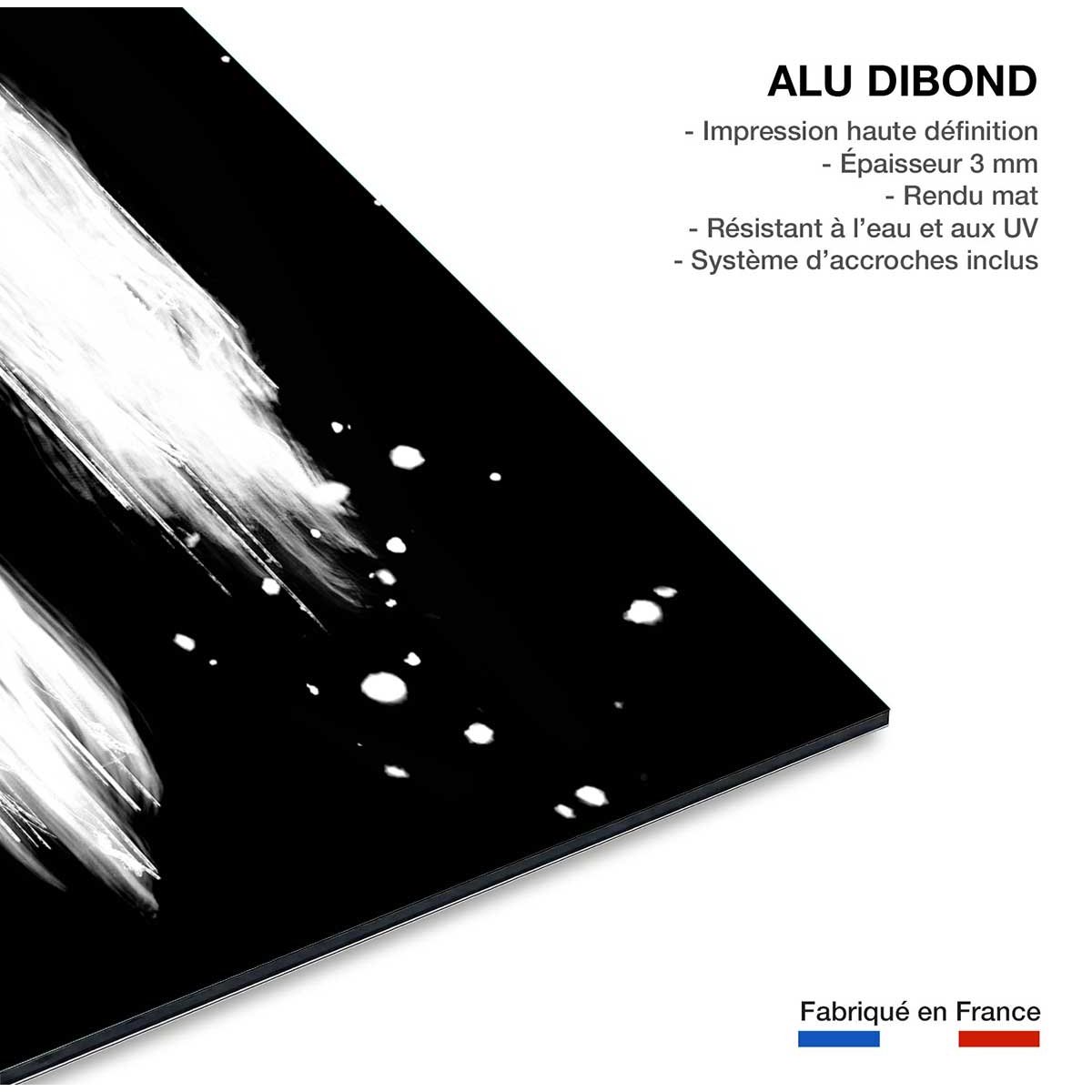 Tableau abstrait épreuve négative tableau alu dibond, HEXOA