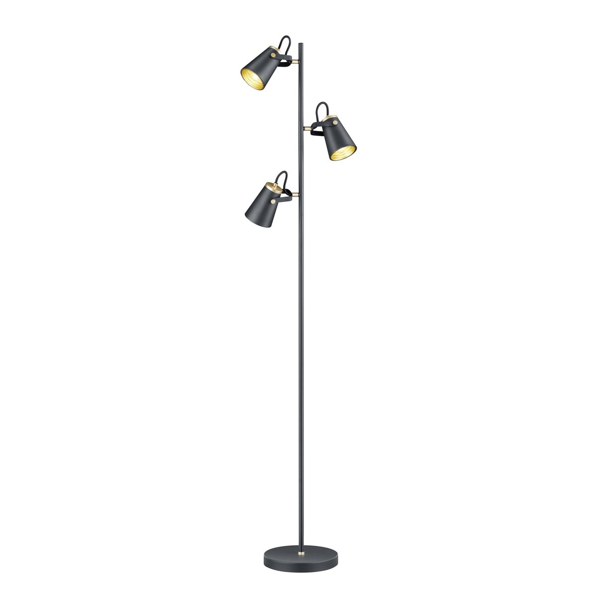 Lampadaire design en métal industriel, EDWARD noir, TRIO
