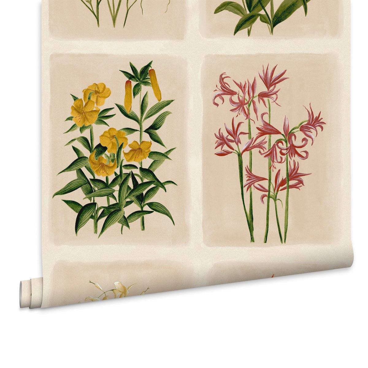Papier peint botanique Mille fleurs Pershore Postcards multicolore, LAURA ASHLEY