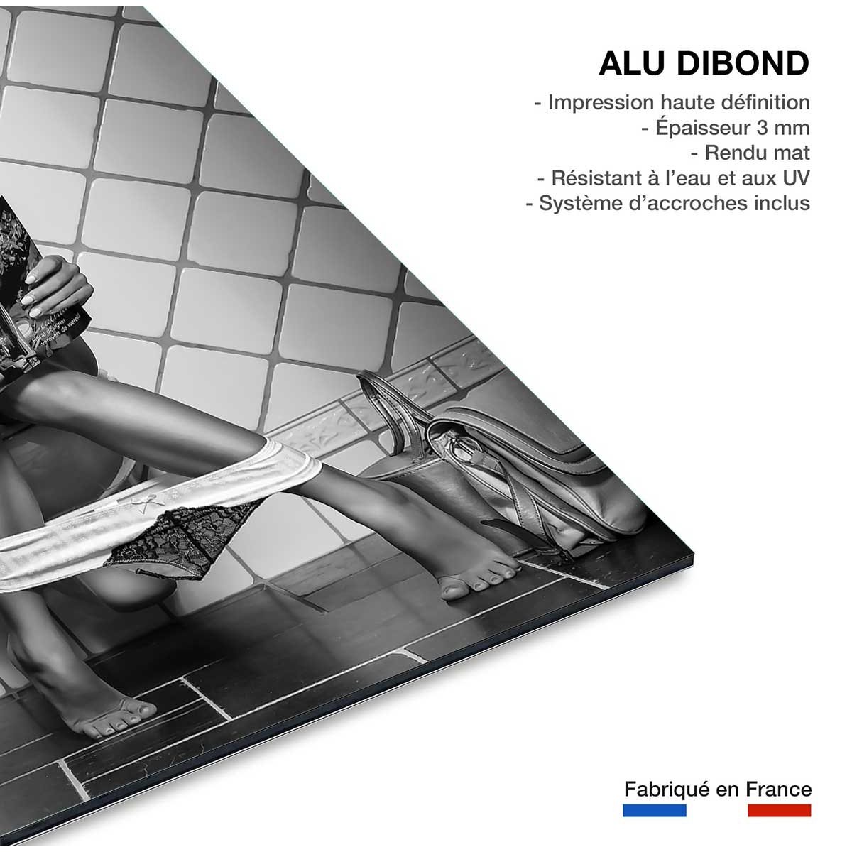 Tableau contemporain Multitasking tableau alu dibond, HEXOA
