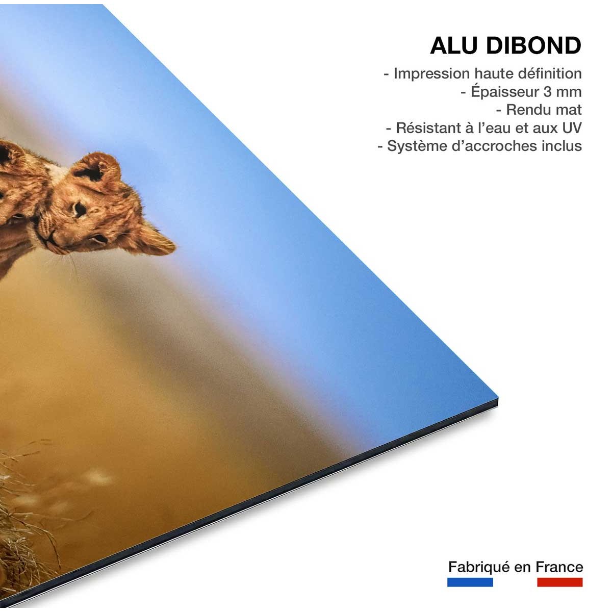 Tableau animaux brothers for the life tableau alu dibond, HEXOA
