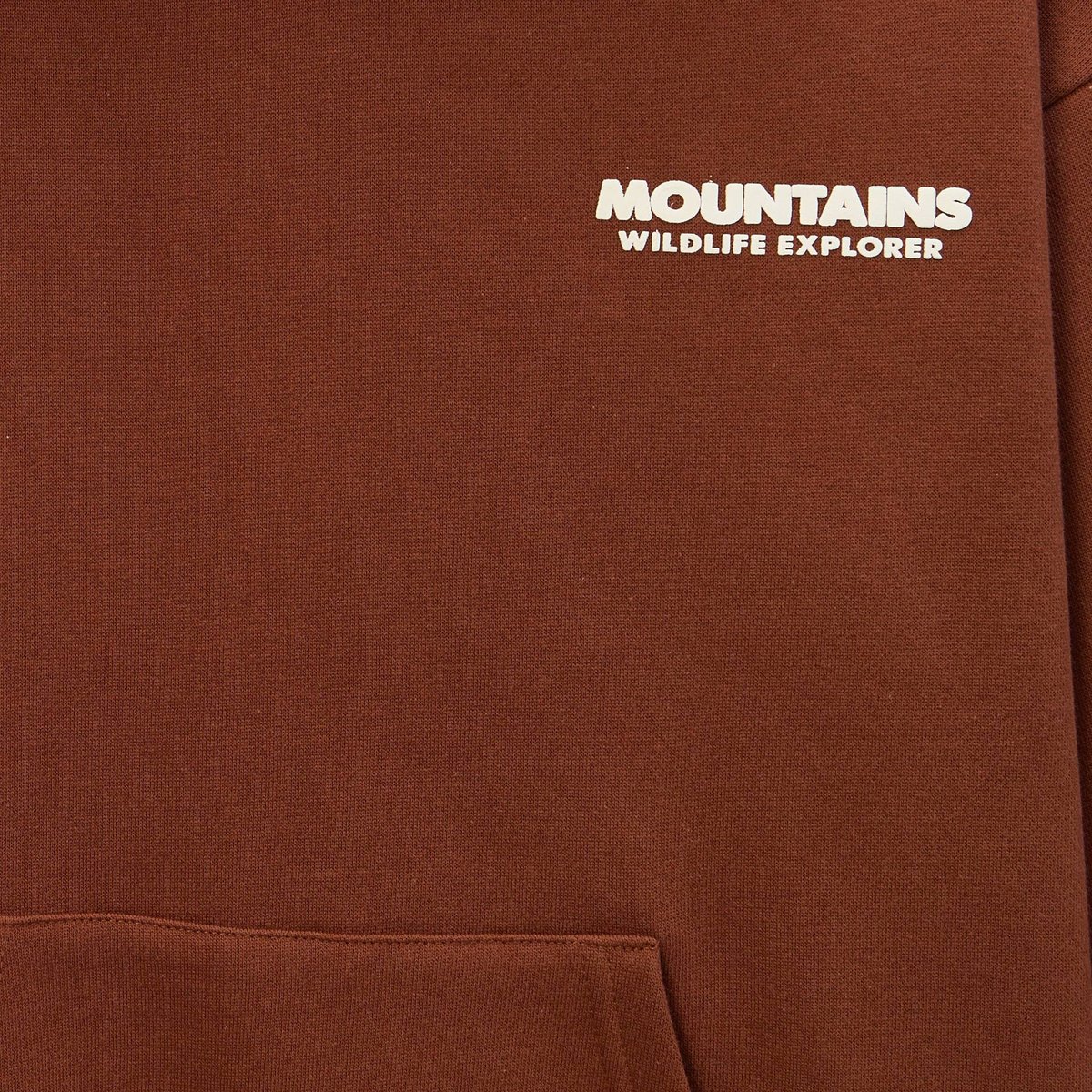 Sweat col rond imprimé en coton bio cheval, MONOPRIX