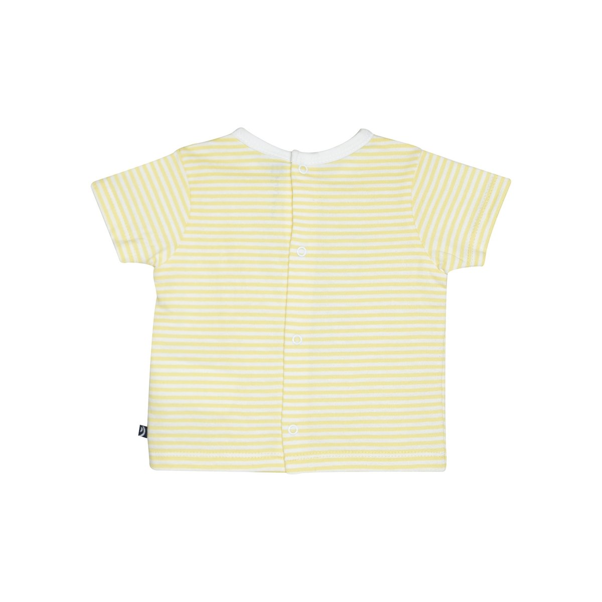 Tee shirt short gecko bebe blanc, SUCRE D'ORGE