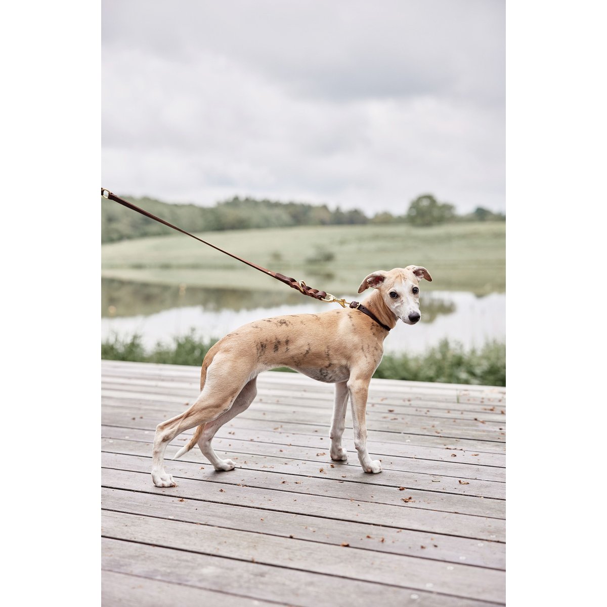 Collier en cuir pour chien LIVING marron foncé, OYOY LIVING DESIGN