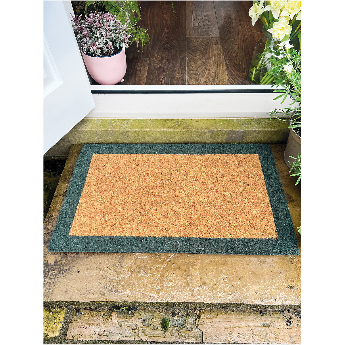 Green Border Doormat green/natural, MY MAT