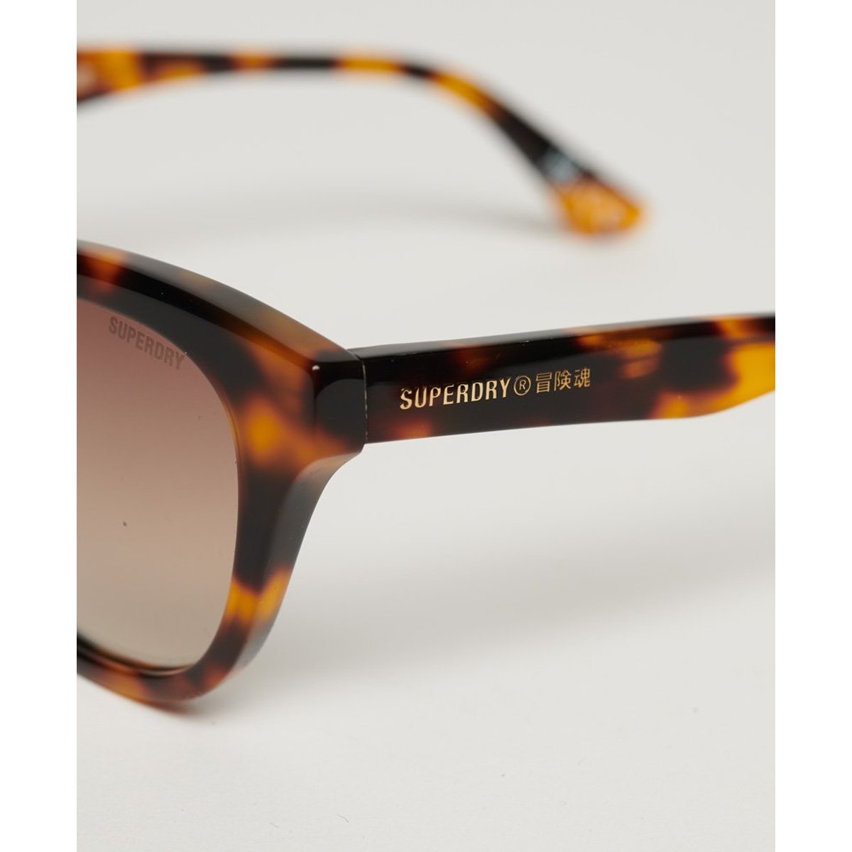 Lunettes de soleil SDR Britanny tortue/marron foncé en dégradé, SUPERDRY