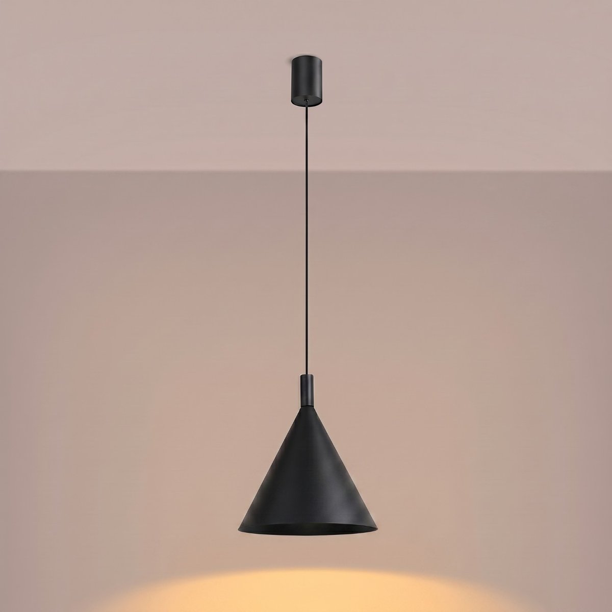Suspension Acier Noir E27 1 NOX noir, EDEN