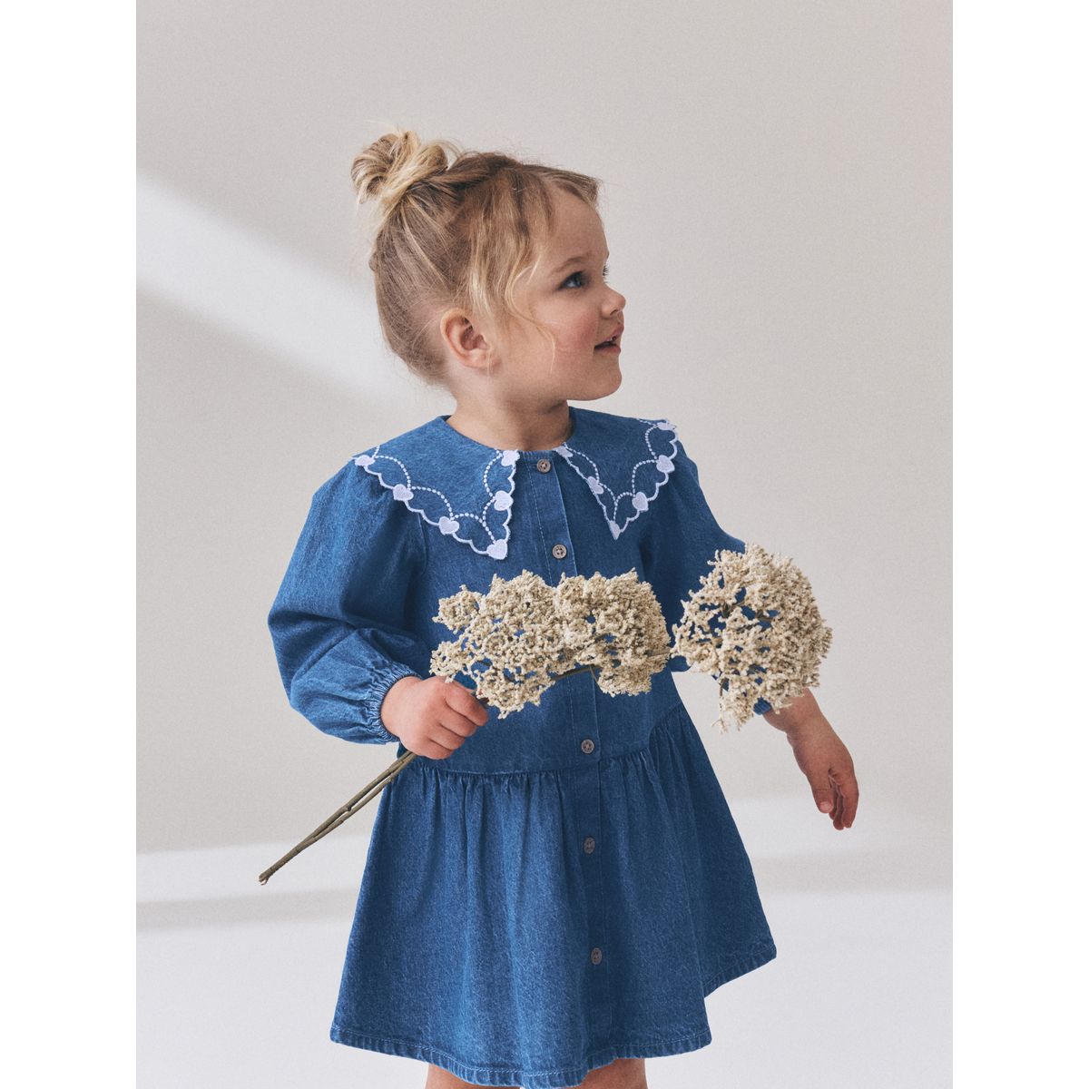 Robe à manches longues et col brodé jena bleu, NEXT