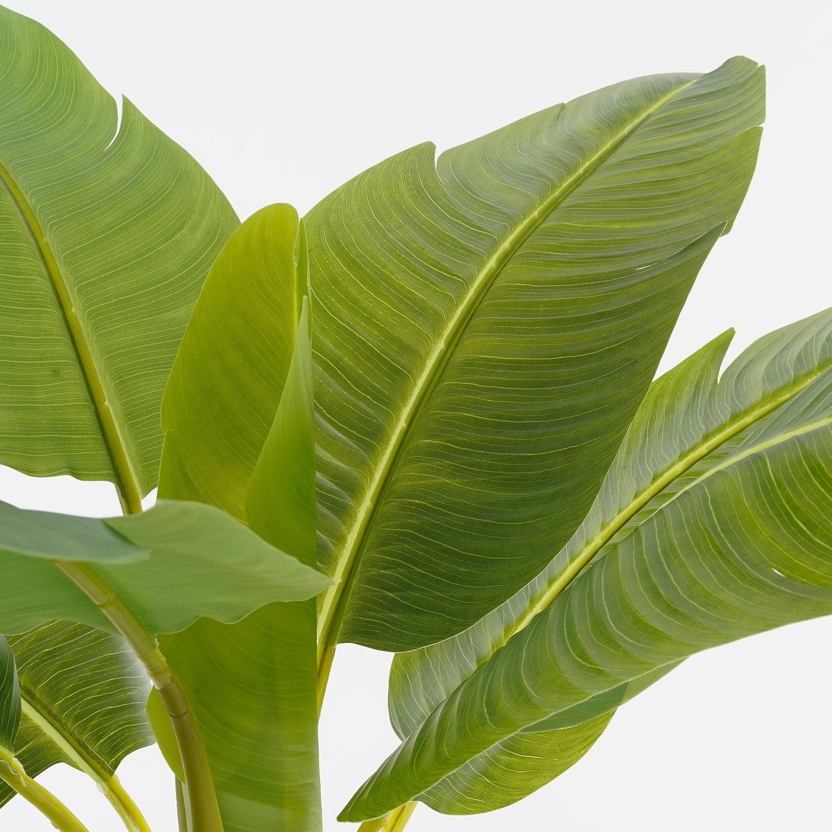 Plante artificielle BANANA TREE vert, MICA DECORATIONS