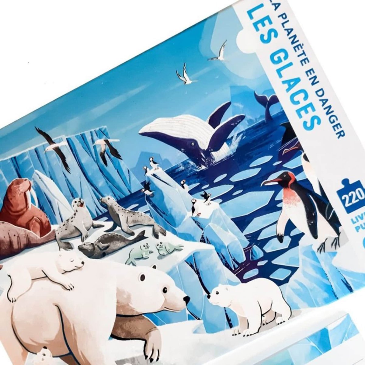 Puzzle & Livre - La Planète en Danger, Les glaces multicolore, SASSI