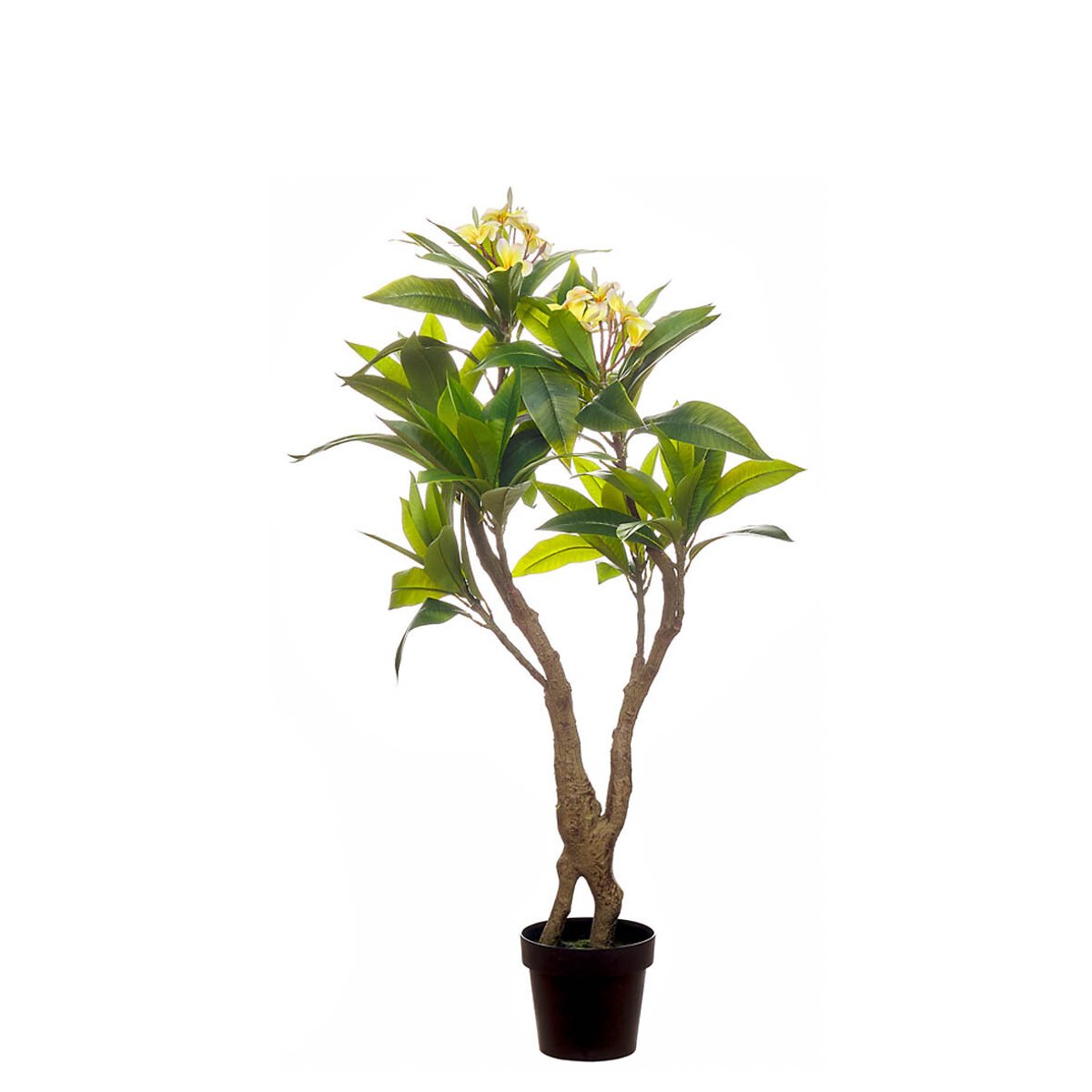 Planta artificial "Frangipan" 90cm, BORGHESI verde/amarelo, BORGHESI