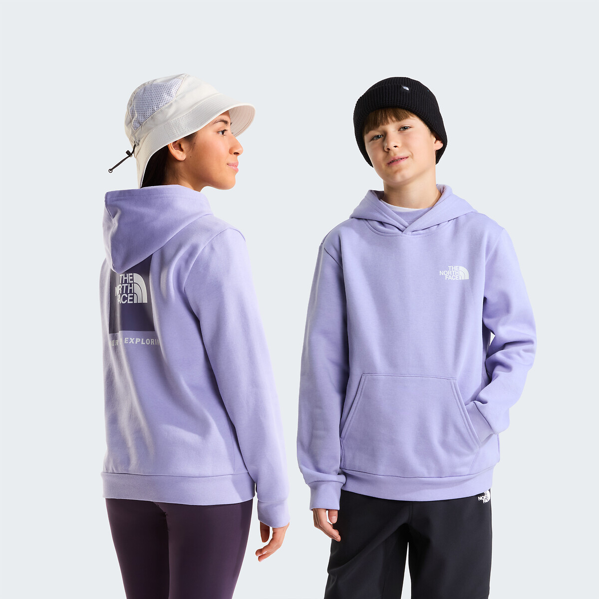 Sweat à capuche, imprimé dos, BOX violet, THE NORTH FACE