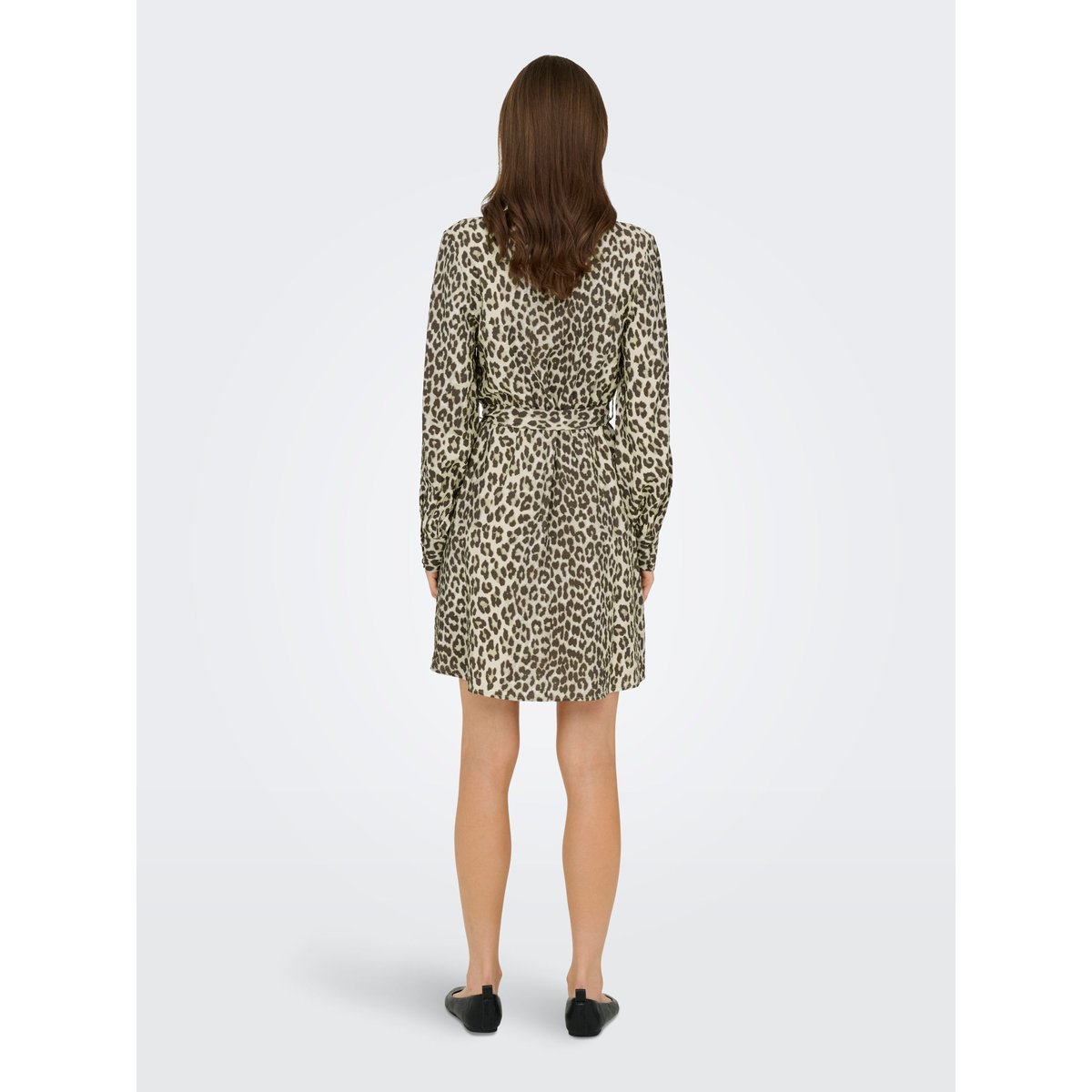 Robe birch, JDY