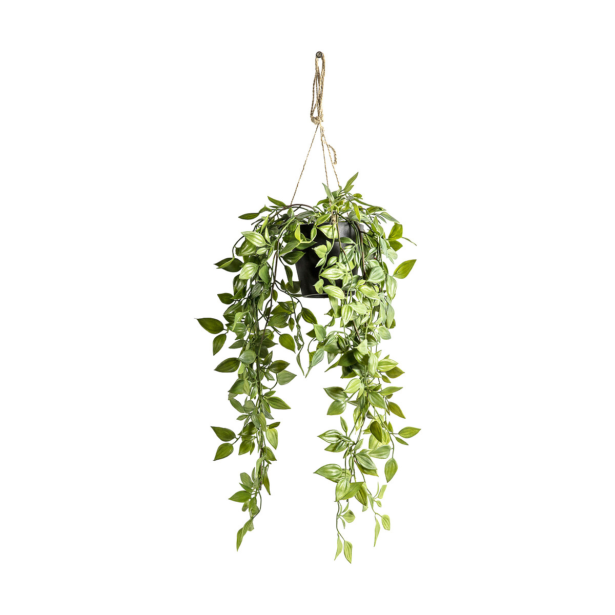 Artificial Hanging Scindapsus green, ÉDITÉ