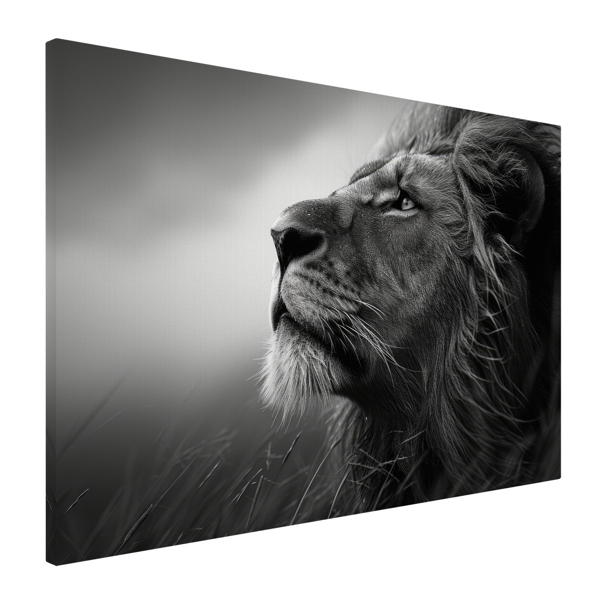 Tableau Sur Toile Lion Songeur ANIMAUX tableaux sur toile-noir & blanc, CEANOTHE