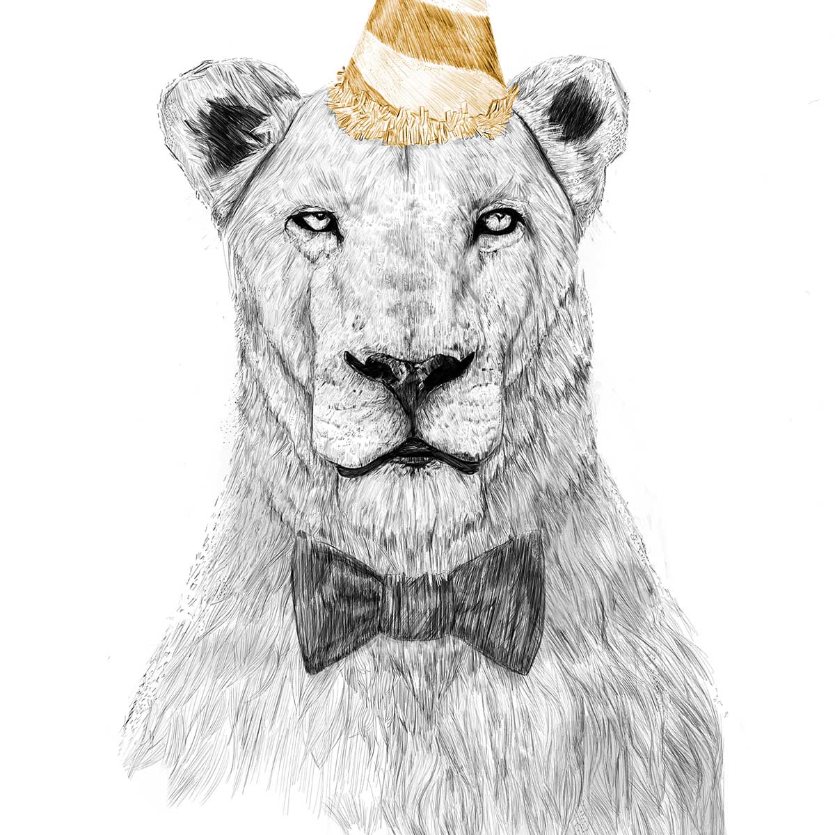 Affiche enfant lionne en fête affiche seule, HEXOA