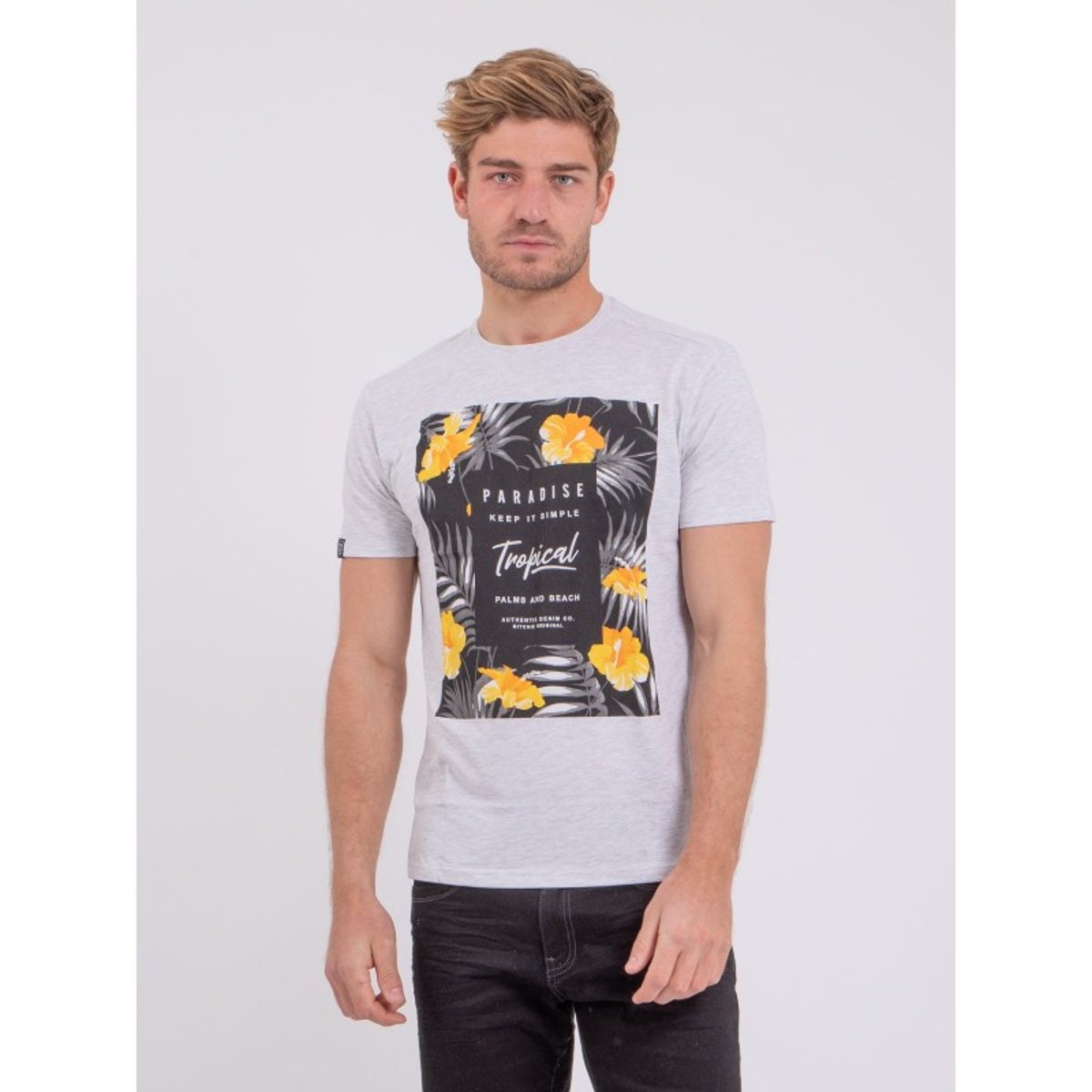 T-shirt Manches Courtes Col Rond Pur Coton Noctavio gris, RITCHIE