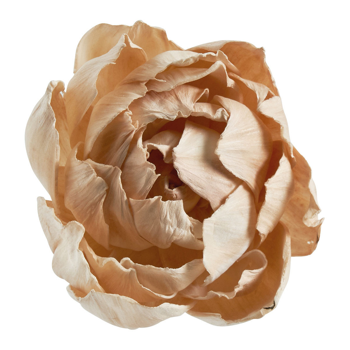 Bouquet de 3 déco végétales séchées rose, MATHILDE M