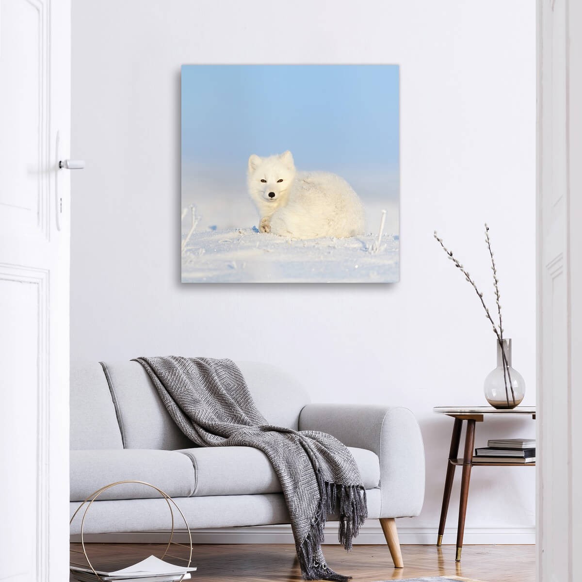 Tableau Mural Beauté Animale ANIMAUX tableaux sur toile-blanc, CEANOTHE