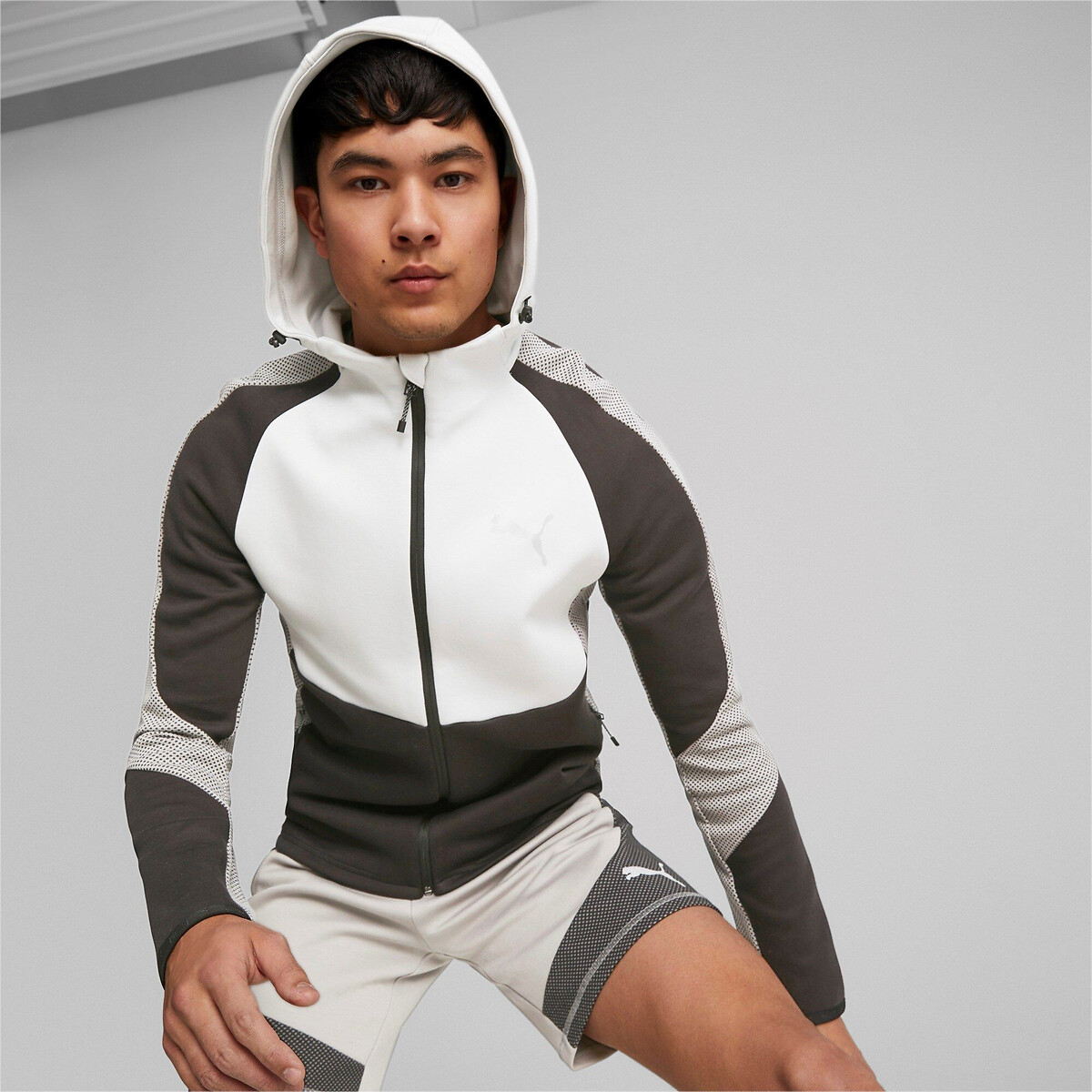 Sweat Evostripe Full-Zip Hoodie noir + gris, PUMA