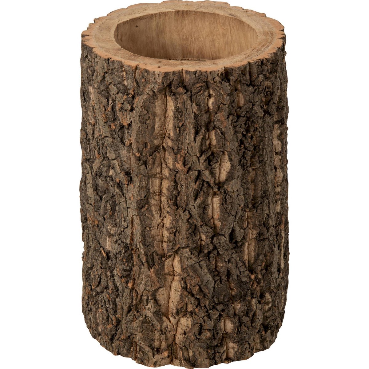 Cache-pot tronc d'arbre en bois de paulownia naturel, RECOLLECTION
