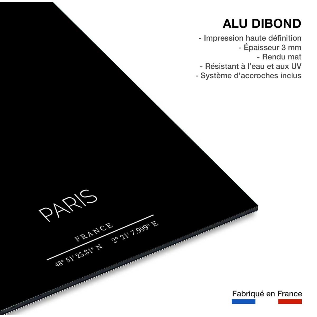Tableau Paris tableau alu dibond, HEXOA