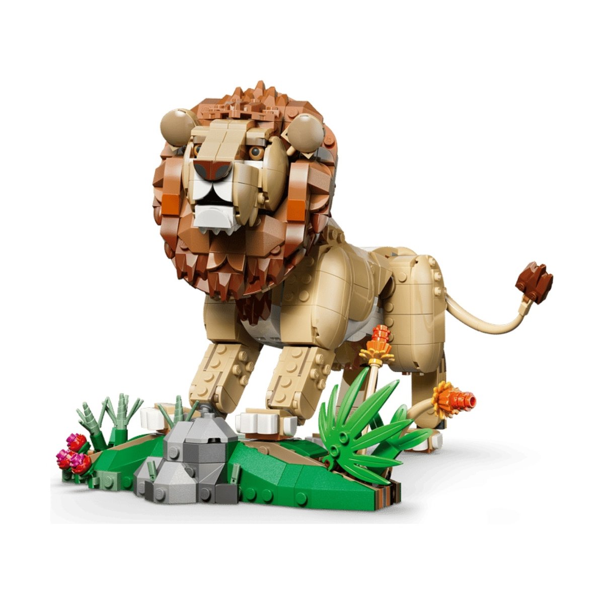 Creator 3 en 1 Animaux sauvages : le lion majestueux multicolore, LEGO
