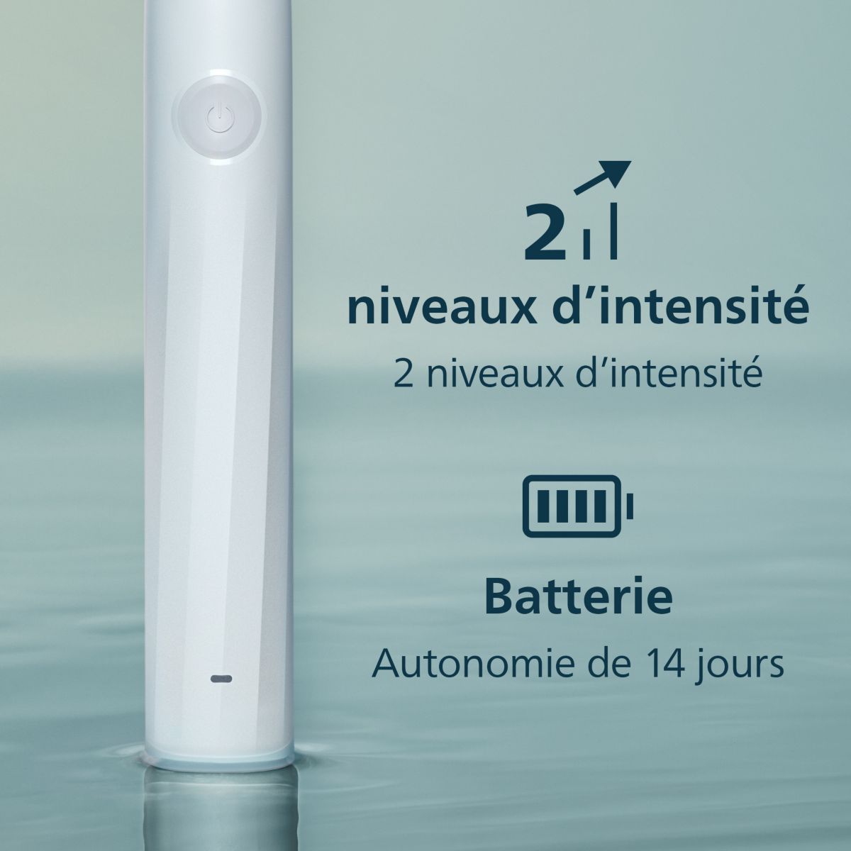 Brosse à dents électrique HX4022/01 Serie 2100 Blanche couleur unique, PHILIPS