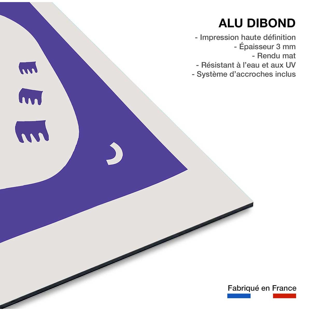 Tableau flying bird tableau alu dibond, HEXOA
