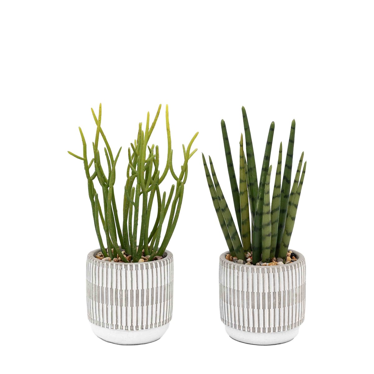 Set of 2 Small Succulents in Ceramic Pots natural, ÉDITÉ