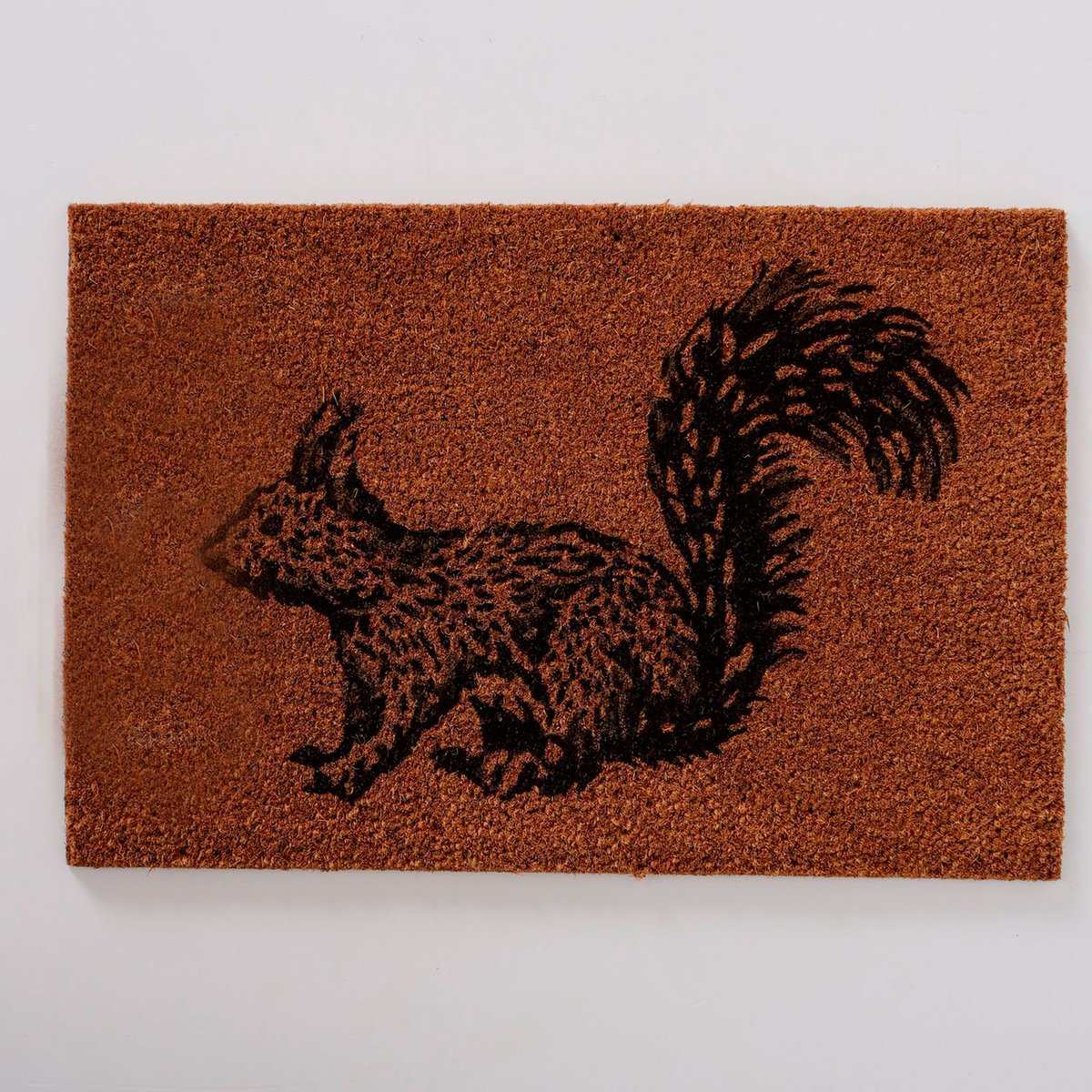 Paillasson coco écureuil 60x40x1.5cm marron, WADIGA