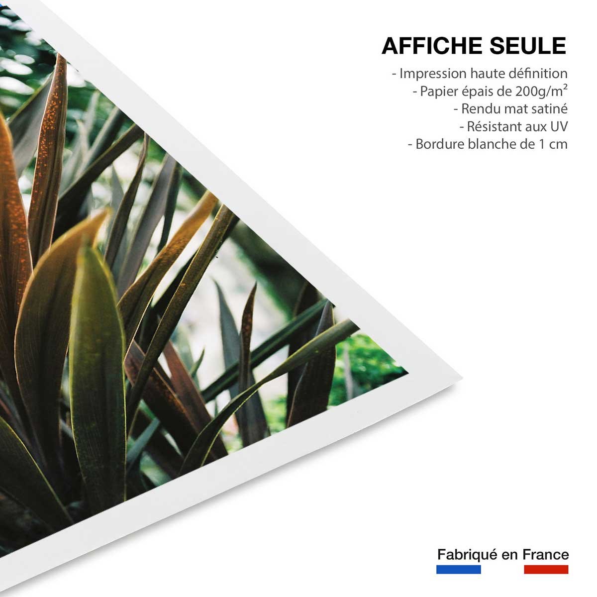 Affiche fleur de yucca et forêt tropicale affiche seule, HEXOA
