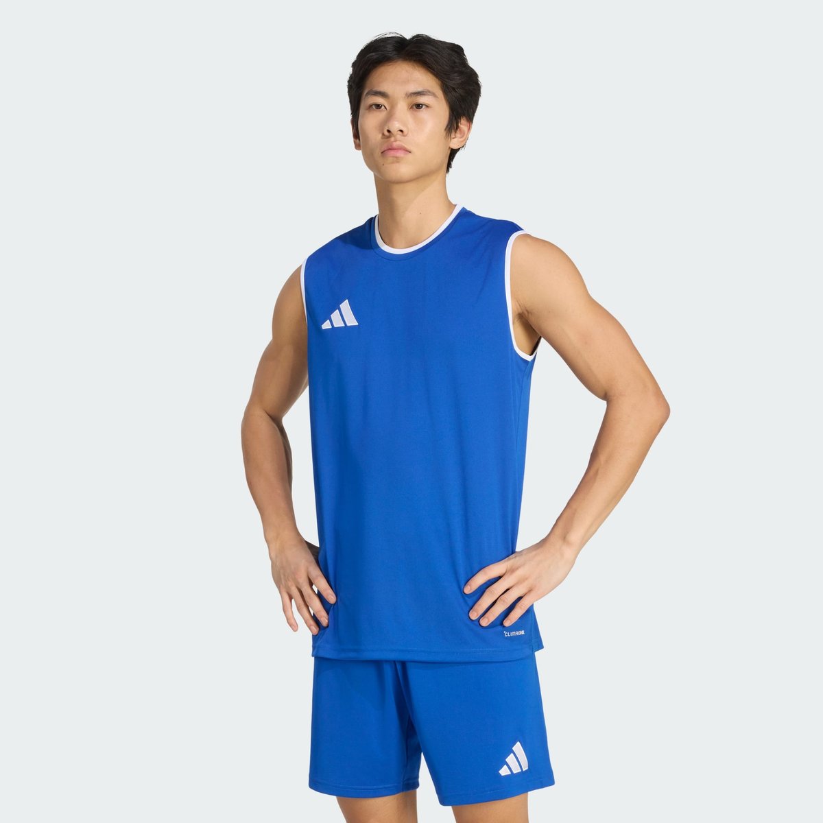 Maillot Sans Manches Entrada26 Maillot Sans Manches Entrada26 royal blue / white, adidas Performance