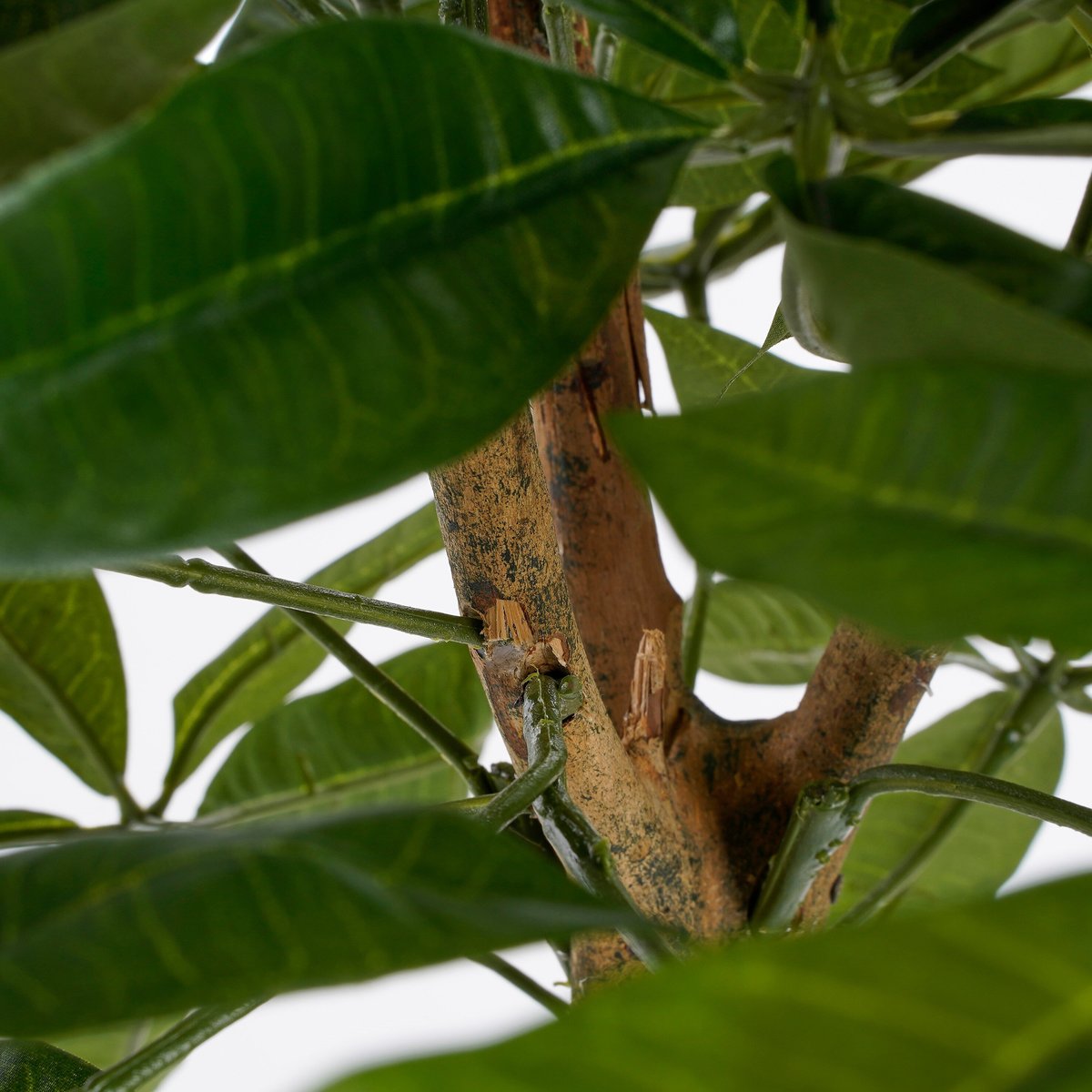 Plante artificielle PACHIRA vert, MICA DECORATIONS