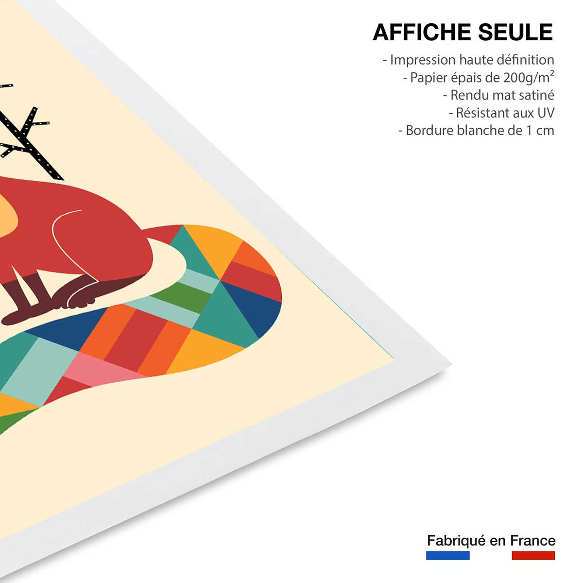 Affiche enfant rainbow fox affiche seule, HEXOA