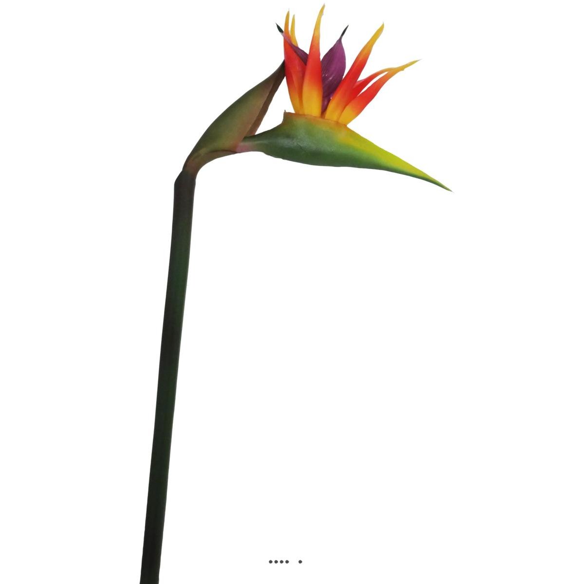 Strelitzia Arabica artificiel H 62 cm oiseau v002239, ARTIFICIELLES