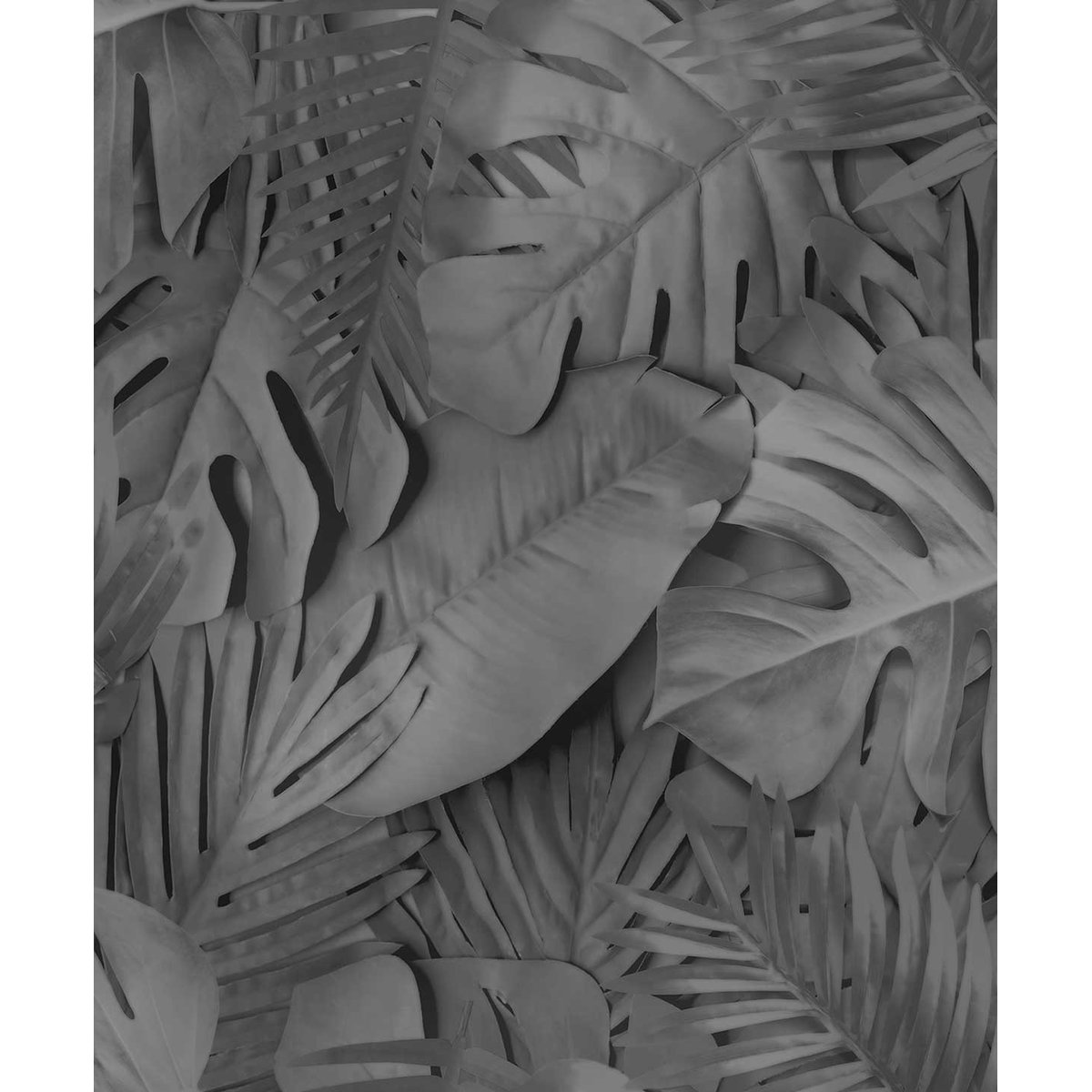 Papier peint feuillage tropical noir et blanc noir, HEXOA