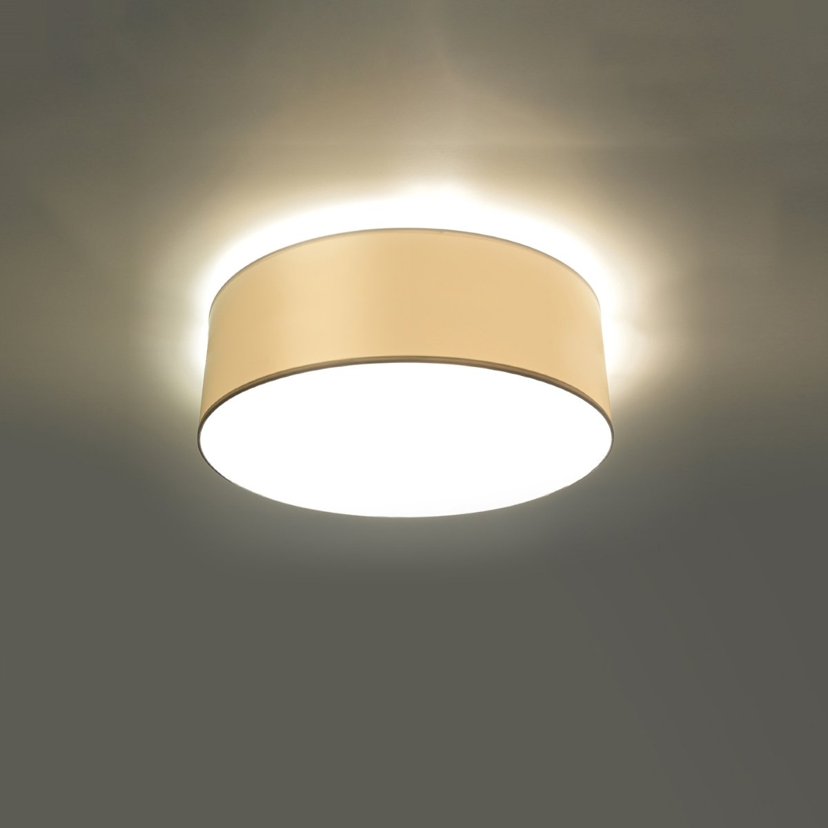 Plafonnier PVC Blanc E27 1 Arena blanc, EDEN