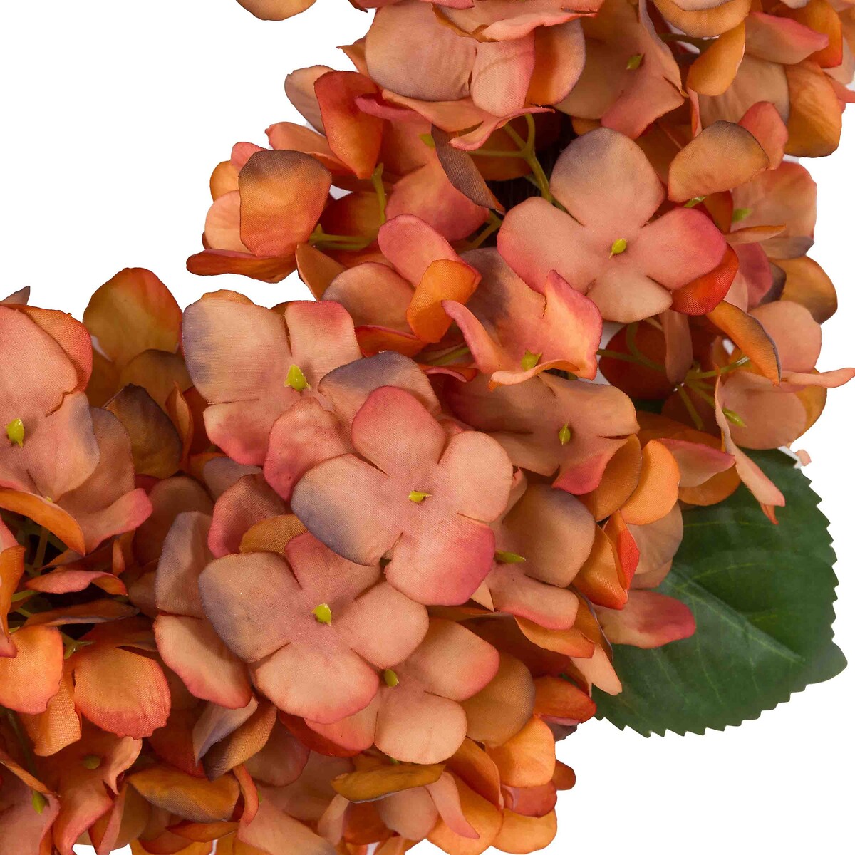 Rust Hydrangea Wreath orange, ÉDITÉ